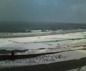 201002060902.jpg