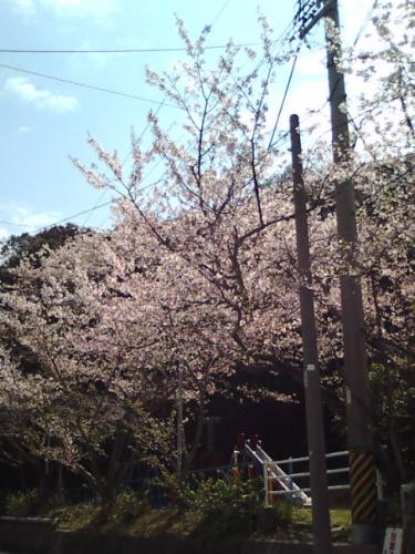 201004081055.jpg