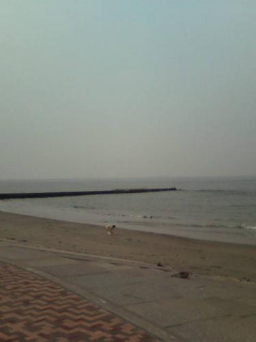 201005040649.jpg