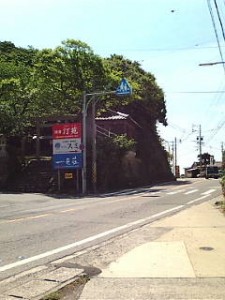 熊野神社　藤　周辺