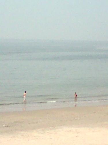 201005041102.jpg
