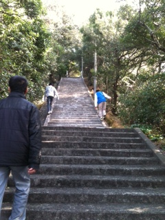 長い階段熊野社