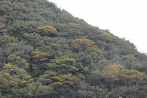 IMG_8676