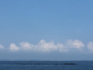 2016-08-05 08.01.03