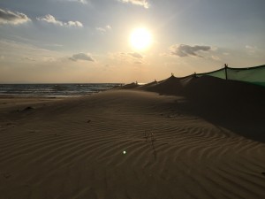 2017-01-12 15.54.59